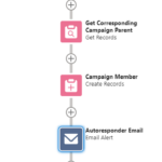 Overview images of the Campaign and Campaign Members with Auto Responder